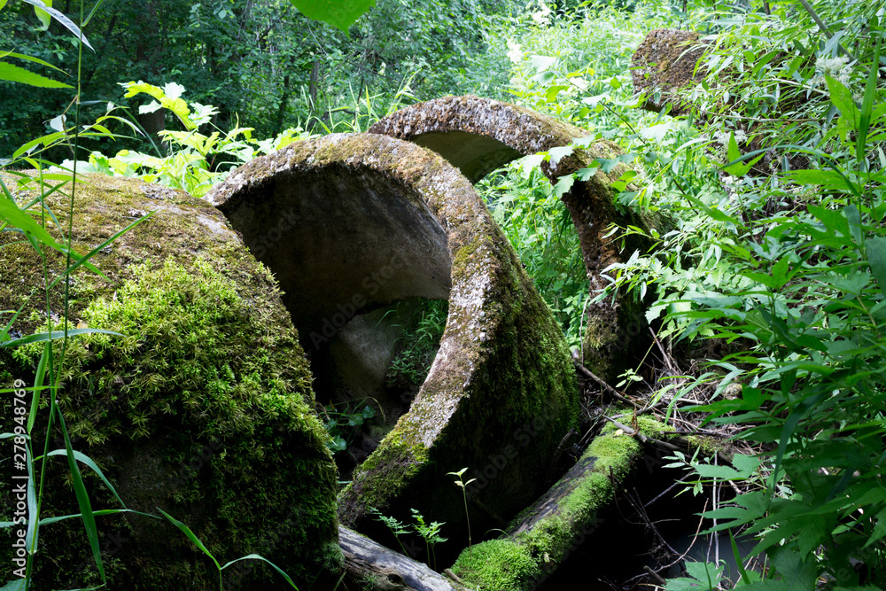 Fototapeta premium Concrete building rings for storm drainage stormwater are left in deep woods and overgrown with moss and grass