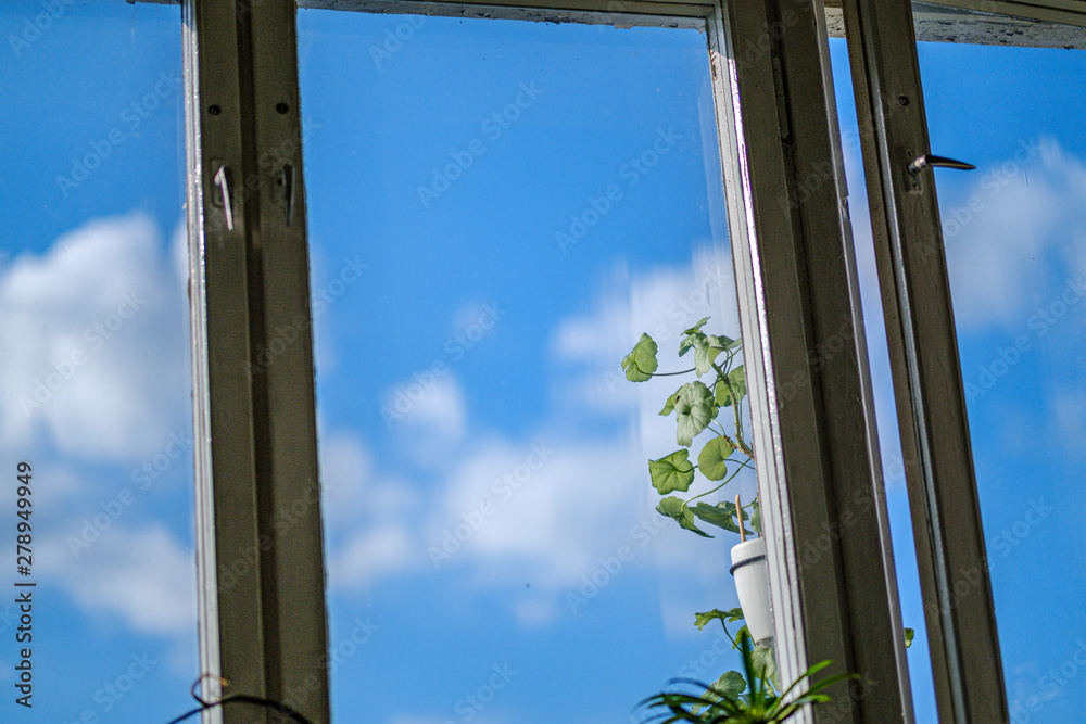 apartment windows against blye sky and dirty glass apartment windows against blye sky and dirty glass