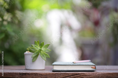 White coffee cup with small plant pot and notebook on wooden table