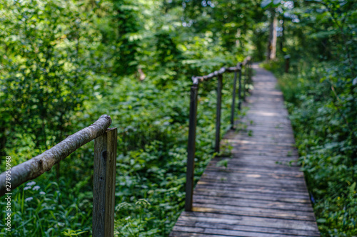 old wooden plank footbridge with stairs in forest © Martins Vanags