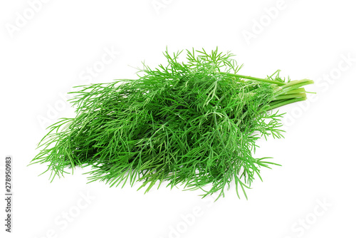 bunch of fresh dill isoalted on white background