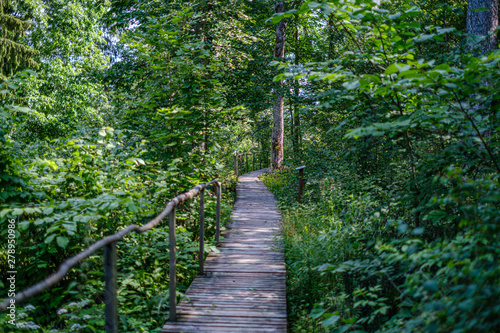 old wooden plank footbridge with stairs in forest
