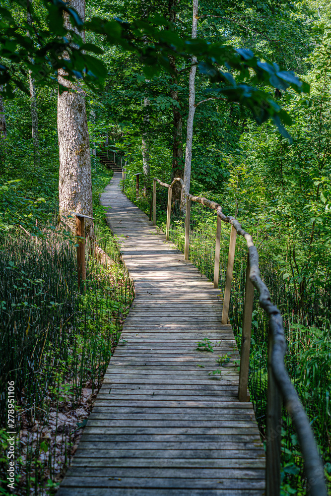 Obraz premium old wooden plank footbridge with stairs in forest