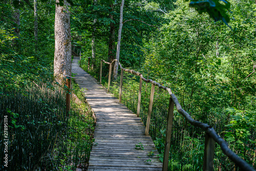 old wooden plank footbridge with stairs in forest