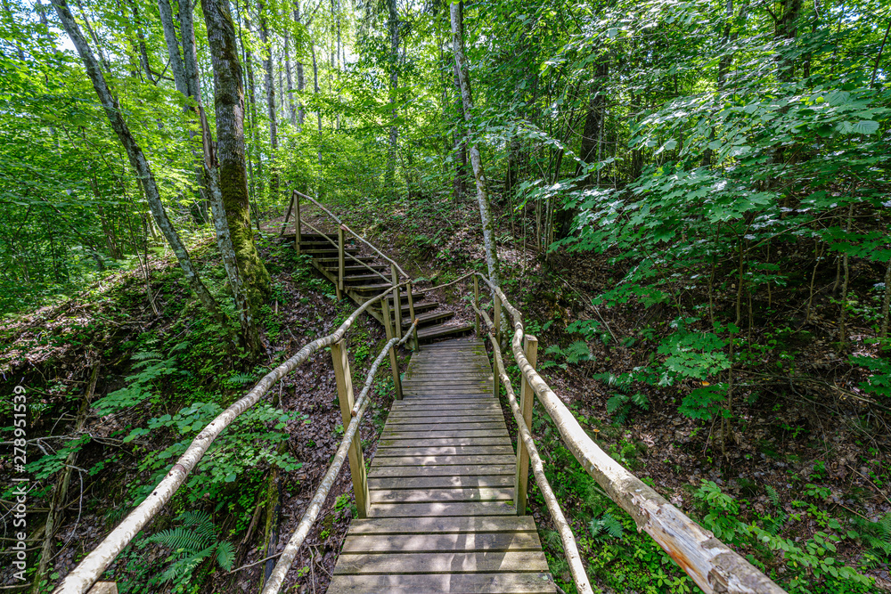 old wooden plank footbridge with stairs in forest old wooden plank footbridge with stairs in forest