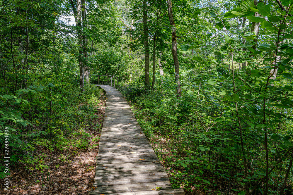 old wooden plank footbridge with stairs in forest old wooden plank footbridge with stairs in forest