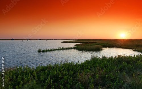 Sevre Niortaise estuary in Charron bay