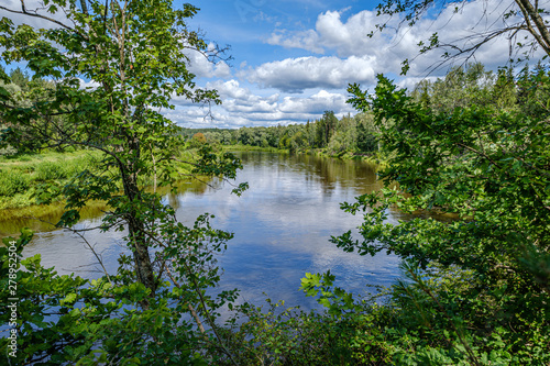 river Gauja in Latvia  view through the trees in summer