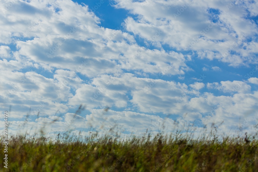 Blue Sky with Clouds and Grass