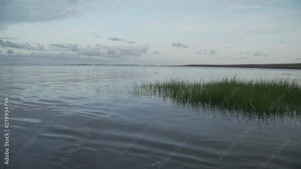 Grass floating on the water of the Westerschelde, Zeeland, Netherlands, shot in Full HD. Grass floating on the water of the Westerschelde, Zeeland, Netherlands, shot in Full HD.