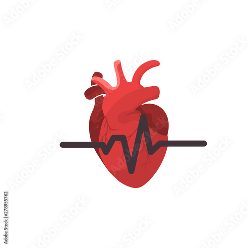 Anatomical heart isolated. Heart diagnostic center sign.