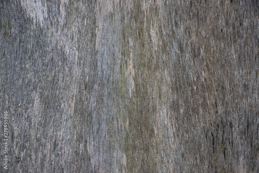 Naklejka premium Vintage worn wood grain texture background surface