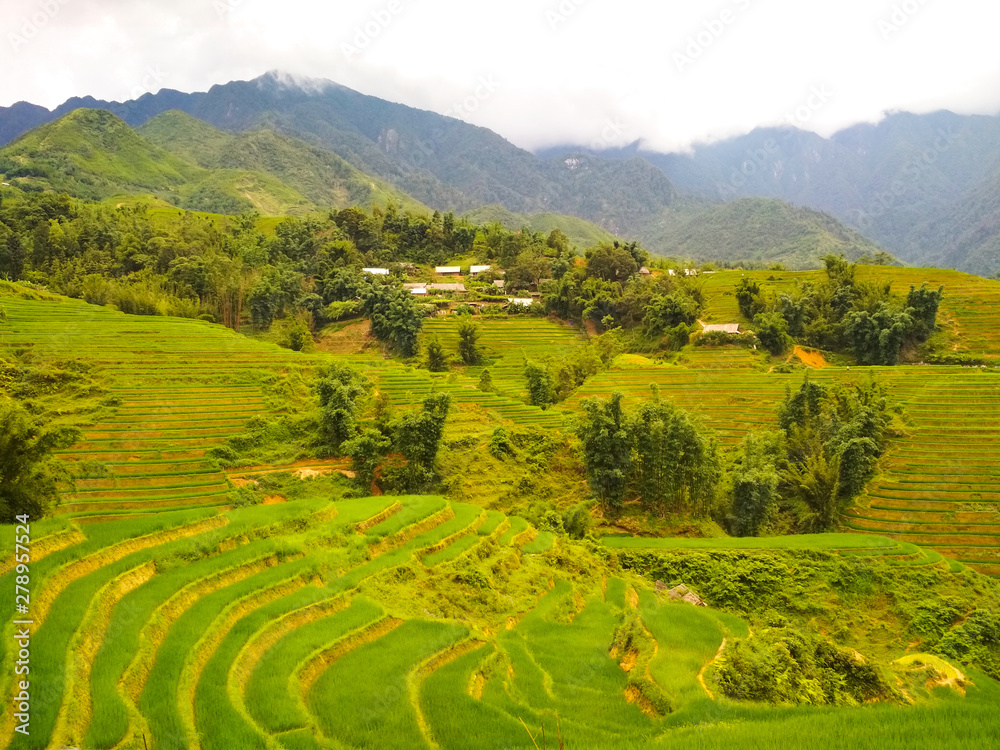 Green terrace rice fields in mountains with lonely village