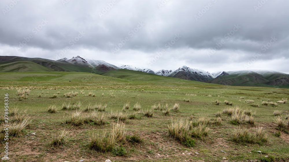 Obraz premium Grassland with snow covered mountain peaks on the horizon against a cloudy sky. Travel Kyrgyzstan.