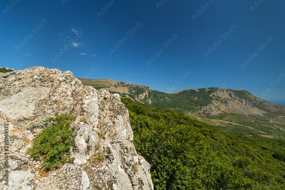 Naklejka premium Natural Landscape
