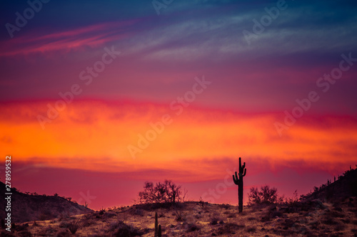 A Sunset over a Saguaro Cactus in the Sonoran Desert of Arizona. © Jason Yoder