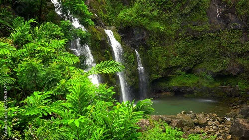 Wallpaper Mural Cinemagraph Loop of Hawaiian Waterfall in Rainforest, Three Bears Falls on the Road to Hana, Maui, Hawaii Torontodigital.ca