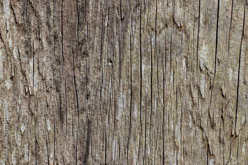Wallpaper Mural Vintage worn wood grain texture background surface Torontodigital.ca