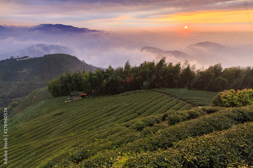 Fototapeta premium beauty of Taiwan