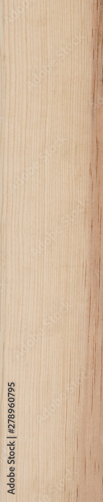 Wood Texture Background Wood Texture Background