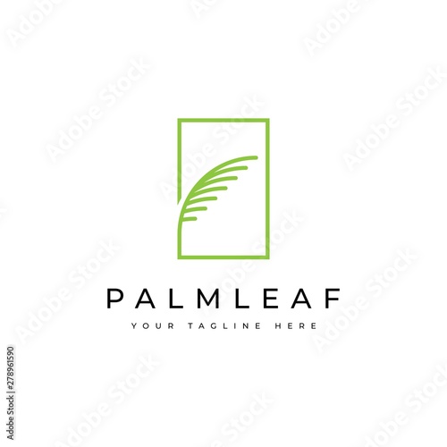 Green palm leaf in the square logo design template