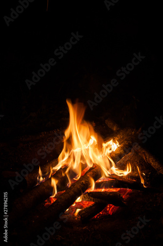 bright bonfire on the wood in the tourist camp