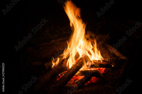bright bonfire on the wood in the tourist camp
