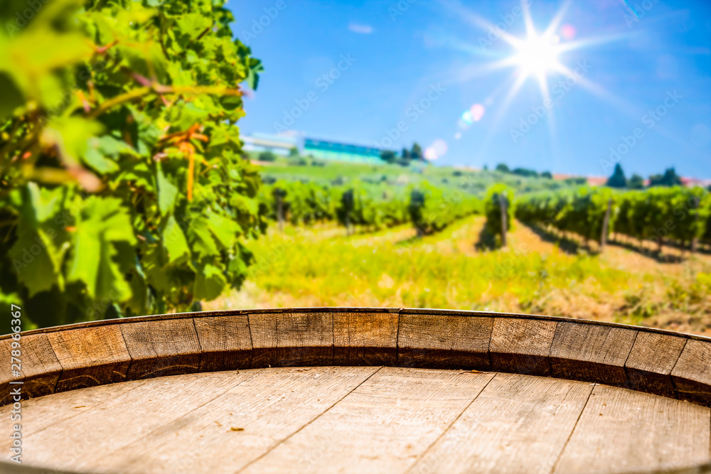 Wooden barrel and board background in the beautiful sunny vineuard view Wooden barrel and board background in the beautiful sunny vineuard view