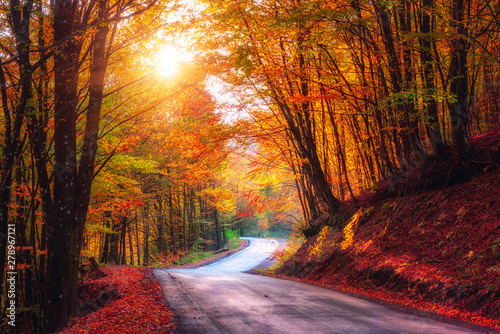 Narrow winding road in dark autumn forest, beautiful landscape with colored trees and sun, natural travel background, Carpathian mountains