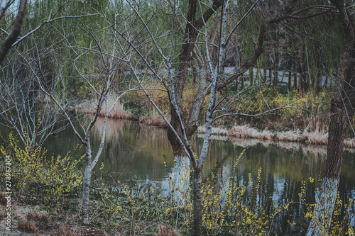 Photography scenes of nature and flora from Gucun Park in Shanghai, China