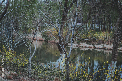 Photography scenes of nature and flora from Gucun Park in Shanghai, China