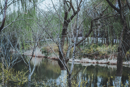 Canvas Print scenes of nature and flora from Gucun Park in Shanghai, China
