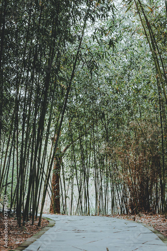 Photography scenes of nature and flora from Gucun Park in Shanghai, China