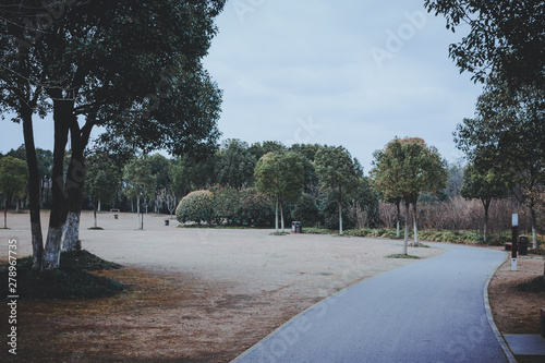 Photography scenes of nature and flora from Gucun Park in Shanghai, China