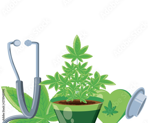 cannabis leaf plant with stethoscope
