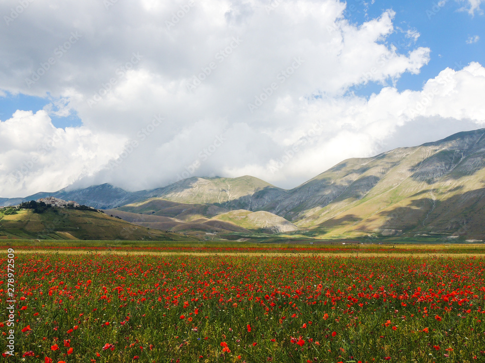 The plains of Castelluccio di Norcia in the national park of 