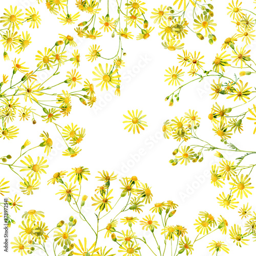 Background of yellow watercolor flowers