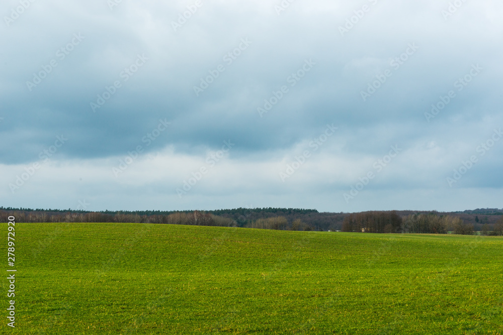 Fototapeta premium green field and cloudy sky