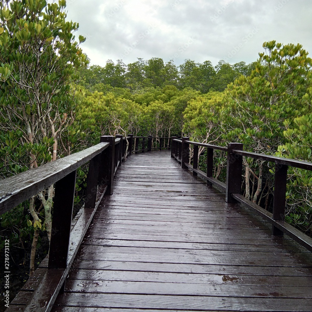 Naklejka premium wooden bridge in forest