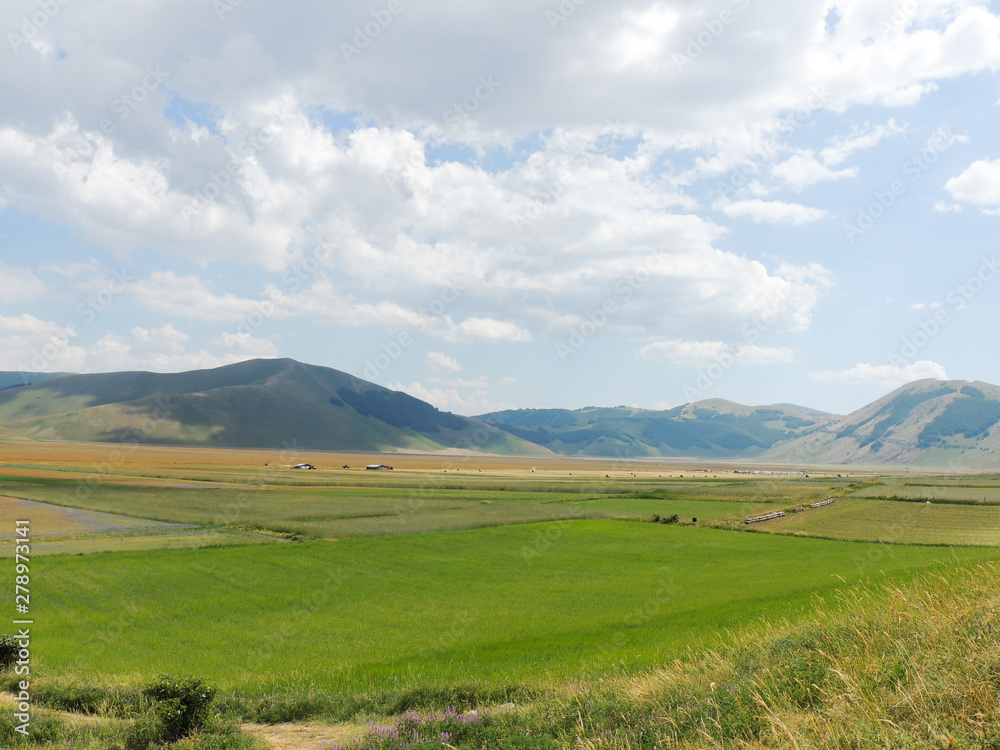 Obraz premium Plains of Castelluccio di Norcia and park of 