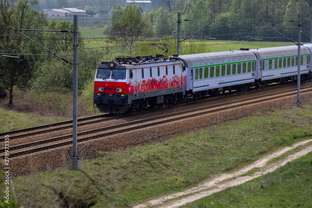 Electric train in the forest