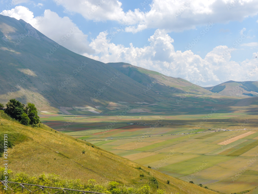 Flowering fields of Castelluccio di Norcia in the park of Sibillini in Umbria, Italy. Flowering fields of Castelluccio di Norcia in the park of Sibillini in Umbria, Italy.