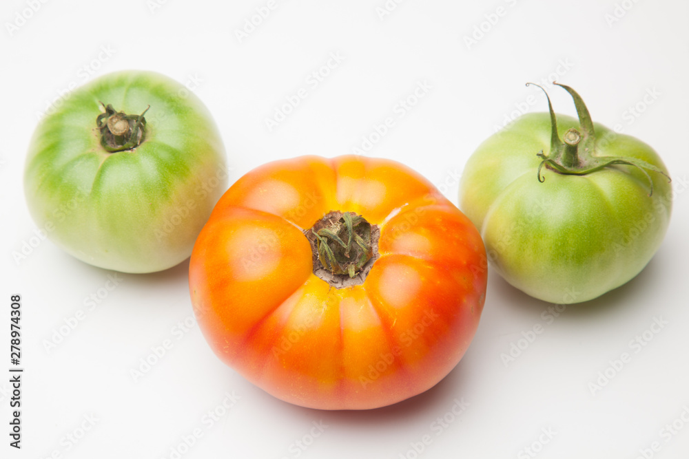 Proceso de maduración del tomate, se recoge verde de la planta y se