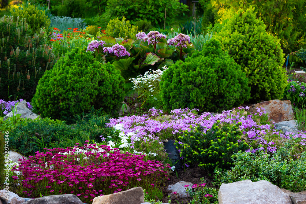 Beautiful view of the landscaped garden in the backyard. Landscaping landscaping area in summer.