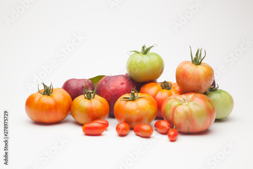 Nectarinas  tomates maduros y tomates cherri sobre un fondo blanco. Los productos han sido traidos de un huerto ecol  gico  cultivados sin productos qu  micos ni pesticidas.