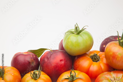 Nectarinas  tomates maduros y tomates cherri sobre un fondo blanco. Los productos han sido traidos de un huerto ecol  gico  cultivados sin productos qu  micos ni pesticidas.