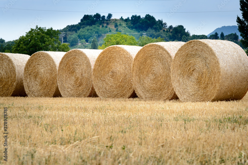 fardos-de-paja-pacas-de-pajao-balas-de-paja-bloque-de-paja