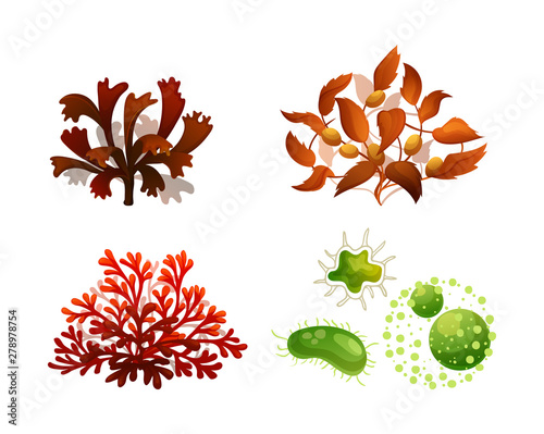 Coral seaweed underwater marine flora silhouette vector set illustration