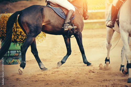 Fototapeta Naklejka Na Ścianę i Meble -  Equestrian sport. The leg of the rider in the stirrup, riding on a red horse.