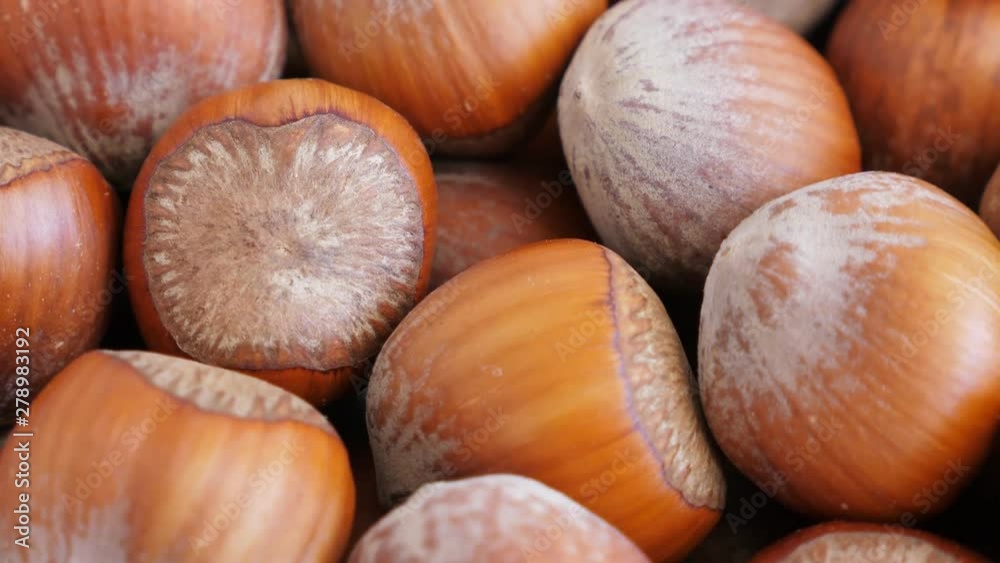 Hazelnut abstract background, top view. Rotate Hazelnut abstract background, top view. Rotate